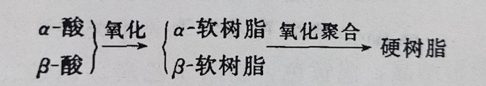 软树脂与硬树脂-山东天泰啤酒设备