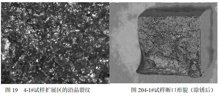 不锈钢管道腐蚀 14 1