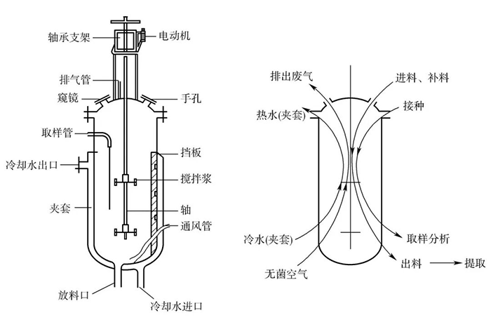 机械式搅拌发酵罐