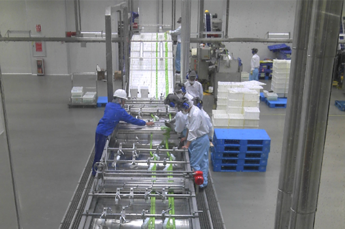 食品新工厂如何建好