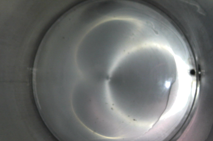 食品新工厂如何建好