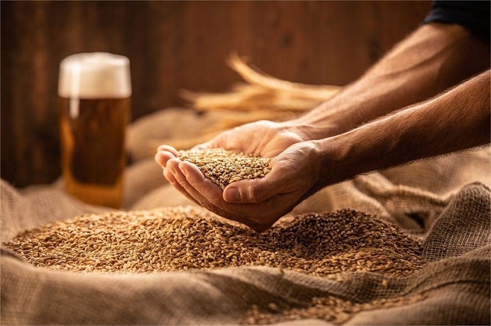 啤酒厂麦芽粉碎-山东天泰